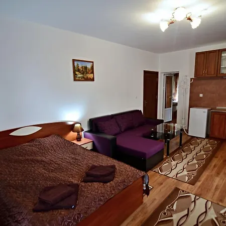 Vesinel Guest house Velingrad