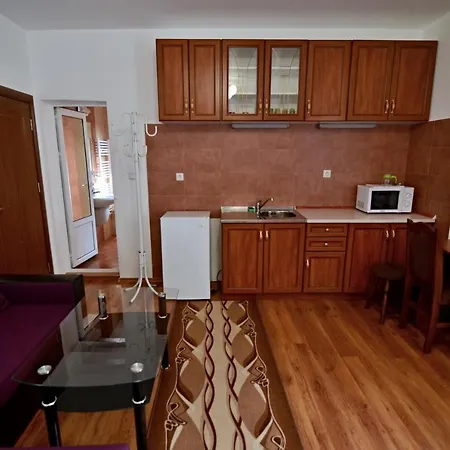 Vesinel Guest house *